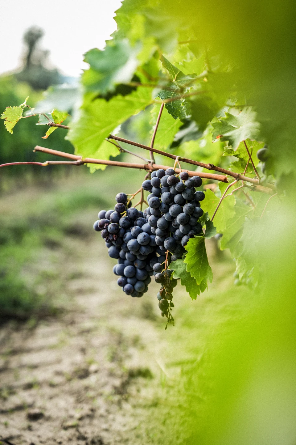 Photo d une camera utilisée pendant un tournage