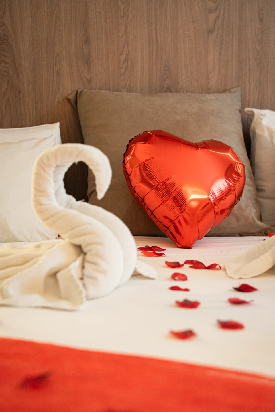 Photo de couverture pour Novotel