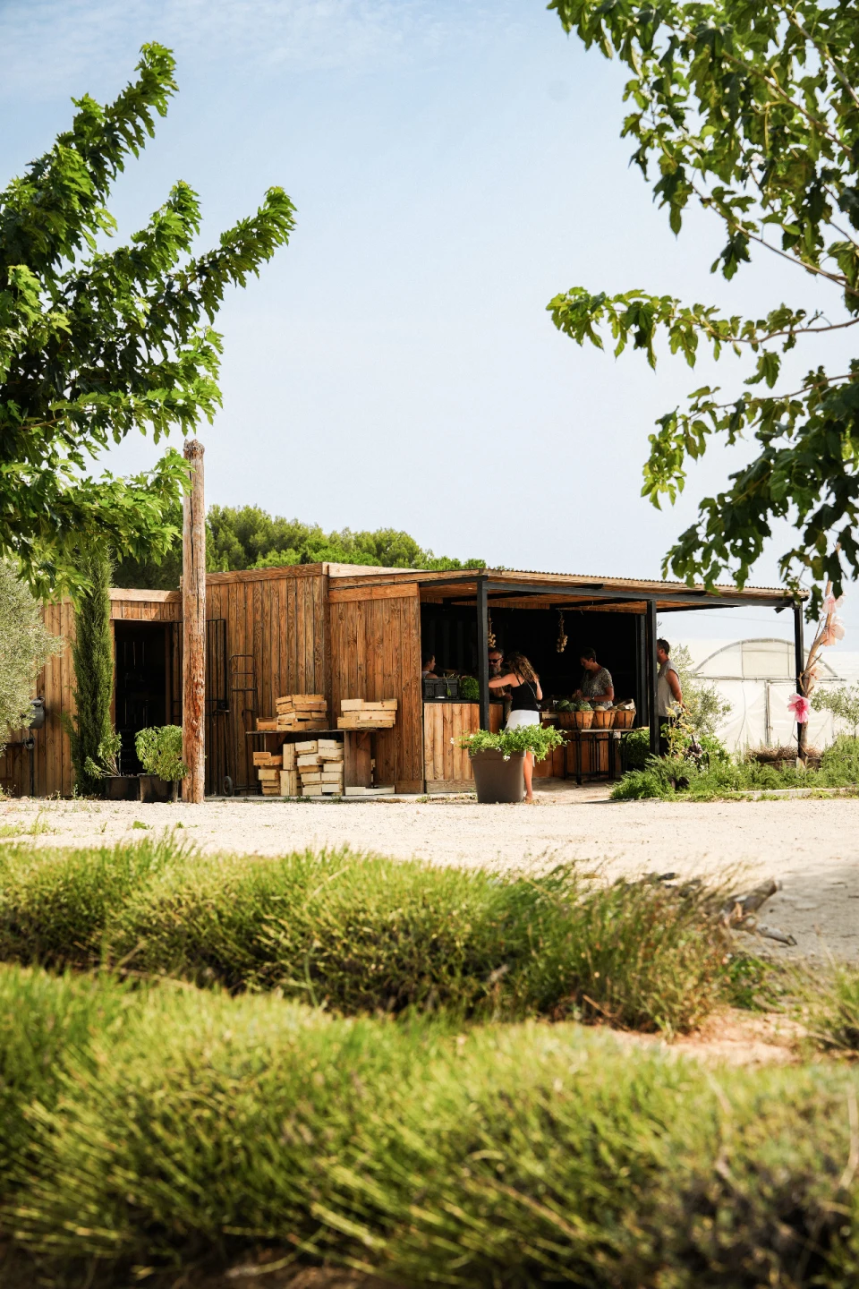 Photo de couverture pour Le Potage de Saint Peyre