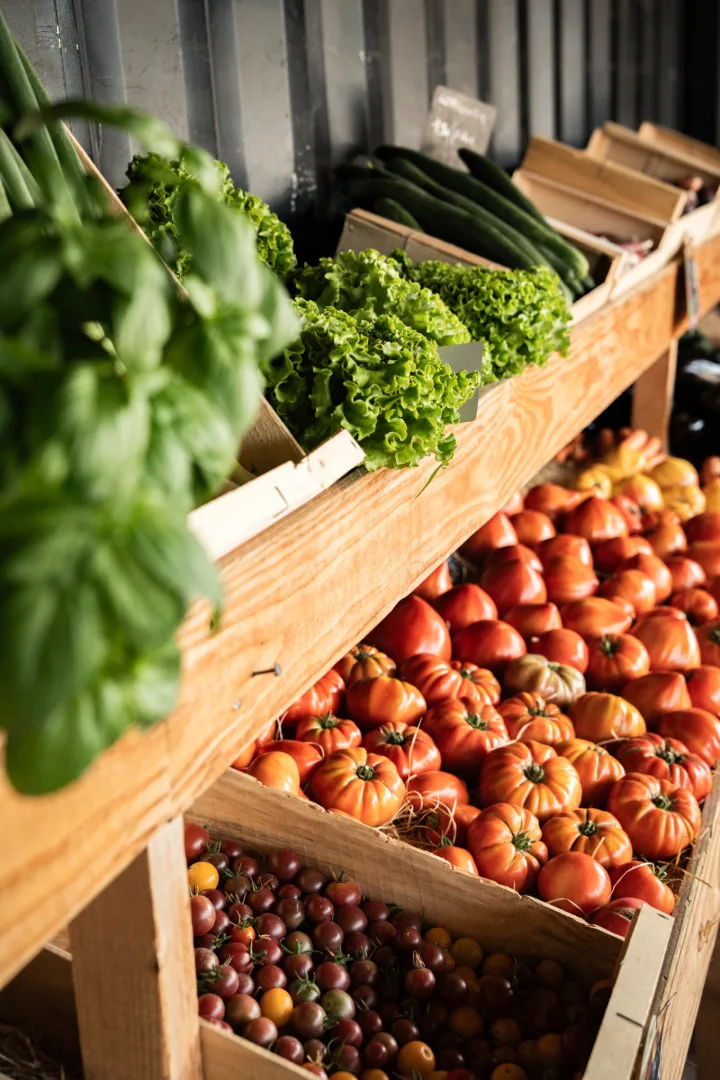 1ere photo de galerie pour Le Potage de Saint Peyre