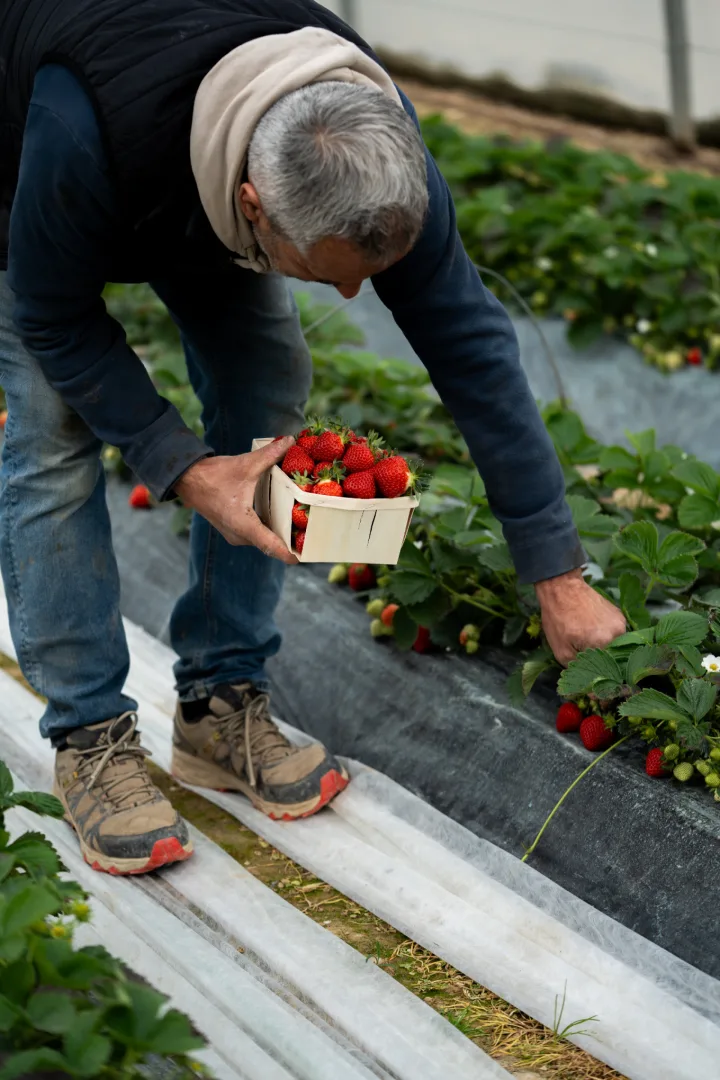 1ere photo de galerie pour Le Potager de Saint Peyre