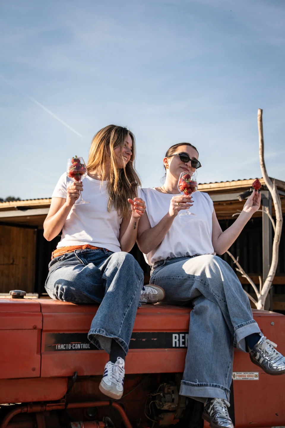 Photo de couverture pour Le Potager de Saint Peyre